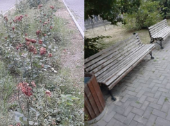 Отремонтировать убогий бульвар в центре города пообещала мэрия Волгограда