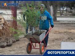 Что нового ждет волгоградцев в парке на центральной набережной