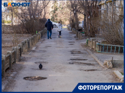 Бездомные собаки, бомжи и разбитые дороги: гуляем по центру Волгограда