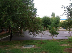 Администрация Волгограда добралась до вырубки очередного парка