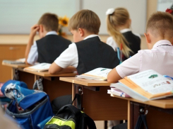 Волгоградец собирает сторонников, чтобы отменить шестидневную учебную неделю