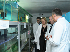 Датчанина впечатлило разведение осетров в лаборатории Волгограда