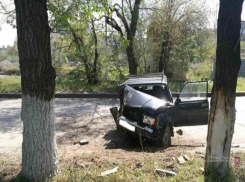 Скончался пенсионер, который за рулем «семерки» влетел в дерево на юге Волгограда