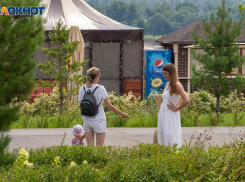 В Волгоградской области воздух прогреется до аномальных +42º