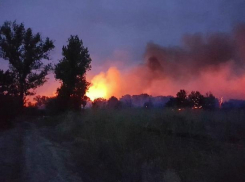 Уникальные кадры с волгоградских пожаров попали на видео