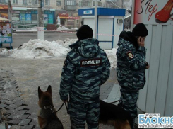 Новый год в Волгограде пройдет без фейерверка