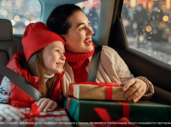 Еще один год вместе с Drivee: сервис подвел итоги 2024 года в Волгограде