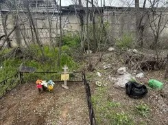 Происхождение мусора на кладбище Вишневой балки объяснили в мэрии Волгограда