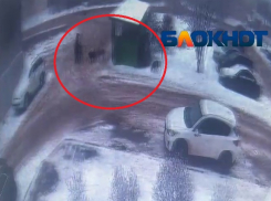  Свора собак набросилась на мужчину в Волгограде: нападение засняла камера