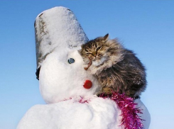 В Волгограде потеплело ровно вполовину