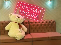 Гигантского мишку увели посетители из волгоградского караоке: талисман в полтора метра высоты