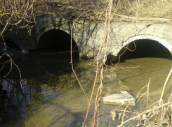 В центре Волгограда обнаружен скелет: пол и причину смерти установит экспертиза