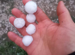 Град с голубиное яйцо обрушился на огороды в Волгоградской области: видео