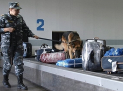 Антитеррористическую безопасность в транспорте и аэропорту обсудили в Волгограде