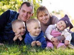 В Волгоградской области 6000 многодетных семей получили земельные участки