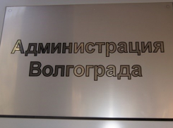 В Волгограде Елена Фомина стала новым руководителем департамента культуры