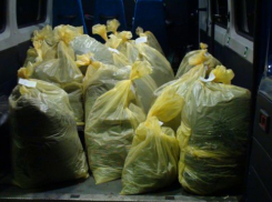 Под Волгоградом мужчина перевозил в собственном авто крупную партию марихуаны