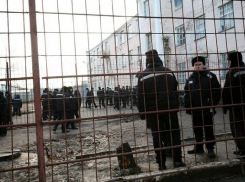 В Волгограде 25-летняя глава наркосиндиката объявлена в международный розыск