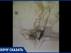 Убираем подъезд и улицу сами: жители дома в Волгограде готовы лезть на крышу ради ремонта 