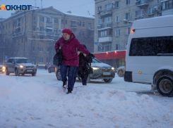 В Волгограде грядет массовая отмена маршруток