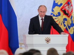 Волгоградским депутатам организуют трансляцию послания президента в Облдуме