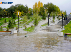 В волгоградской воде и почве после фекального ЧП обнаружили опасные микроорганизмы