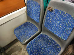 Мышь подсела к волгоградцу во время поездки на троллейбусе №9