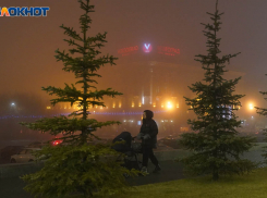 Мокрый снег с туманом накроют Волгоградскую область 29 декабря