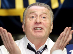 Половина волгоградцев готова призвать в губернаторы Владимира Жириновского