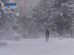 Шестеро умерли и 251 заболел: хроника COVID-19 в Волгоградской области на 21 января