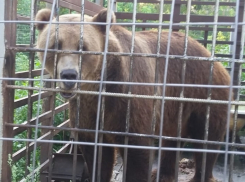 Женщина просит напоить водой узника турбазы в Волгоградской области