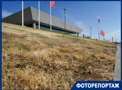 Газон за полмиллиона сгорел за пять дней на новой набережной Волгограда