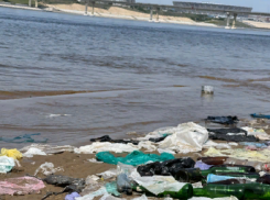 «Настоящий свинарник»: волгоградцы показали замусоренный пляж на Бобрах