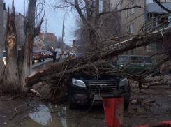Последствия ночного ветра в Волгограде: поврежденные машины и крыша магазина