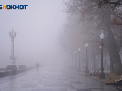 В Волгограде через Путина хотят защитить фонари набережной от уничтожения 