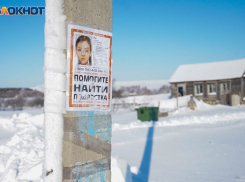 Исчезнувшую под Волгоградом пятнадцатилетнюю школьницу ищут дальнобойщики по всей стране и в Казахстане