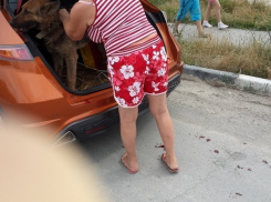 Семья из Волгограда привязала овчарку к машине и протащила по Новороссийску