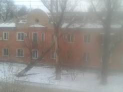 В Волгограде из-за сильного ветра деревья рухнули на дом и автомобиль 