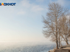 Волгоградцев ждет облачная теплая пятница