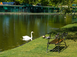 Геовозмущения и облачность: погода в Волгограде на 30 апреля