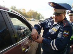 В Волгограде полицейские просят водителей «растонировать» авто