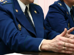 В Камышине бывшая сноха обманула пенсионеров и забрала наследство