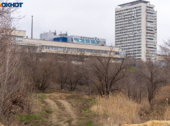 Асфальт закончился: Волгоградская область стала лидером по числу грунтовых дорог 