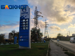 Падение цен на бензин предсказывает экономист Бельских