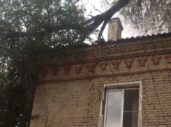 В Волгограде дерево рухнуло на жилой дом: обрушился фасад здания