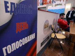 Политиков Волгограда выборы в Саратове интересуют больше местных