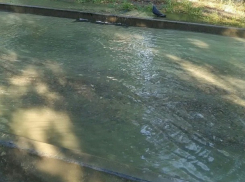 Коммунальная авария затопила две улицы в Волгограде