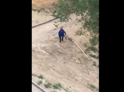 Восстание бабушек против машин в Волгограде попало на видео