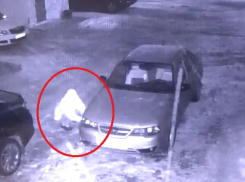 На видео попала работа волгоградского вора-джентльмена, которому не надо лишнего 