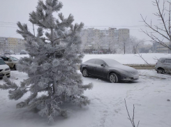Ясно и изморозь: в субботу волгоградцам стоит одеться потеплее
